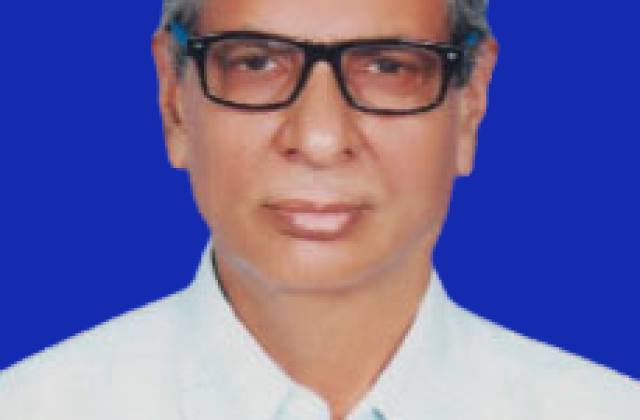 Governance & Committees