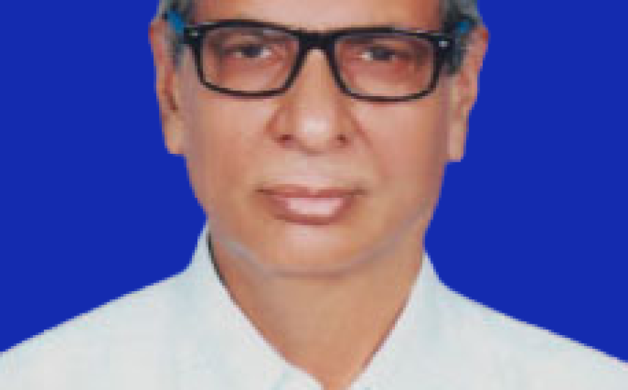 Governance & Committees