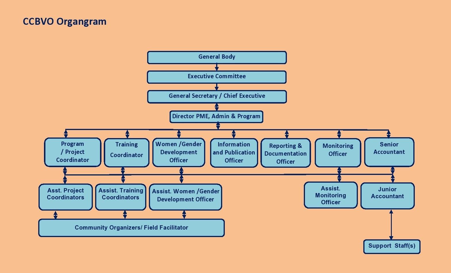 organgram