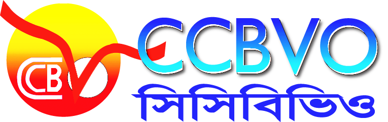 Centre For Capacity Building of Voluntary Organisation (CCBVO)